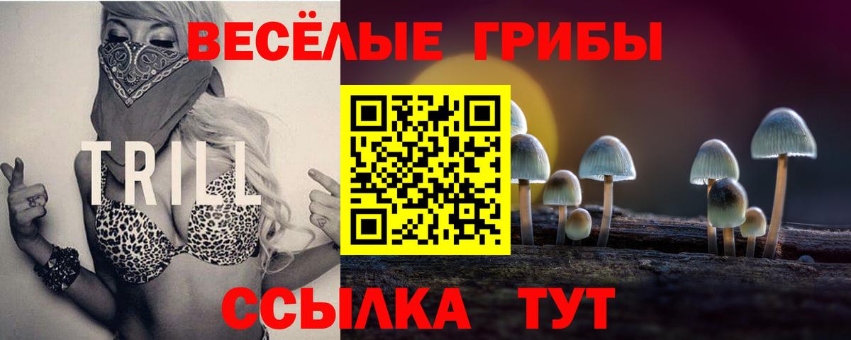 Новотроицк  Псилоцибиновые грибы GOLDEN TEACHER  наркошоп  Вход с VPN 