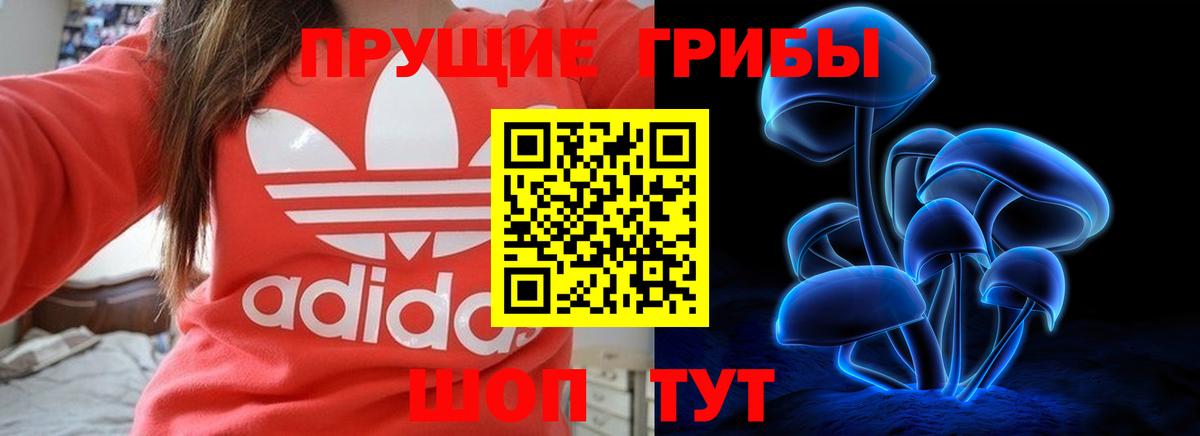 Псилоцибиновые грибы GOLDEN TEACHER Новотроицк